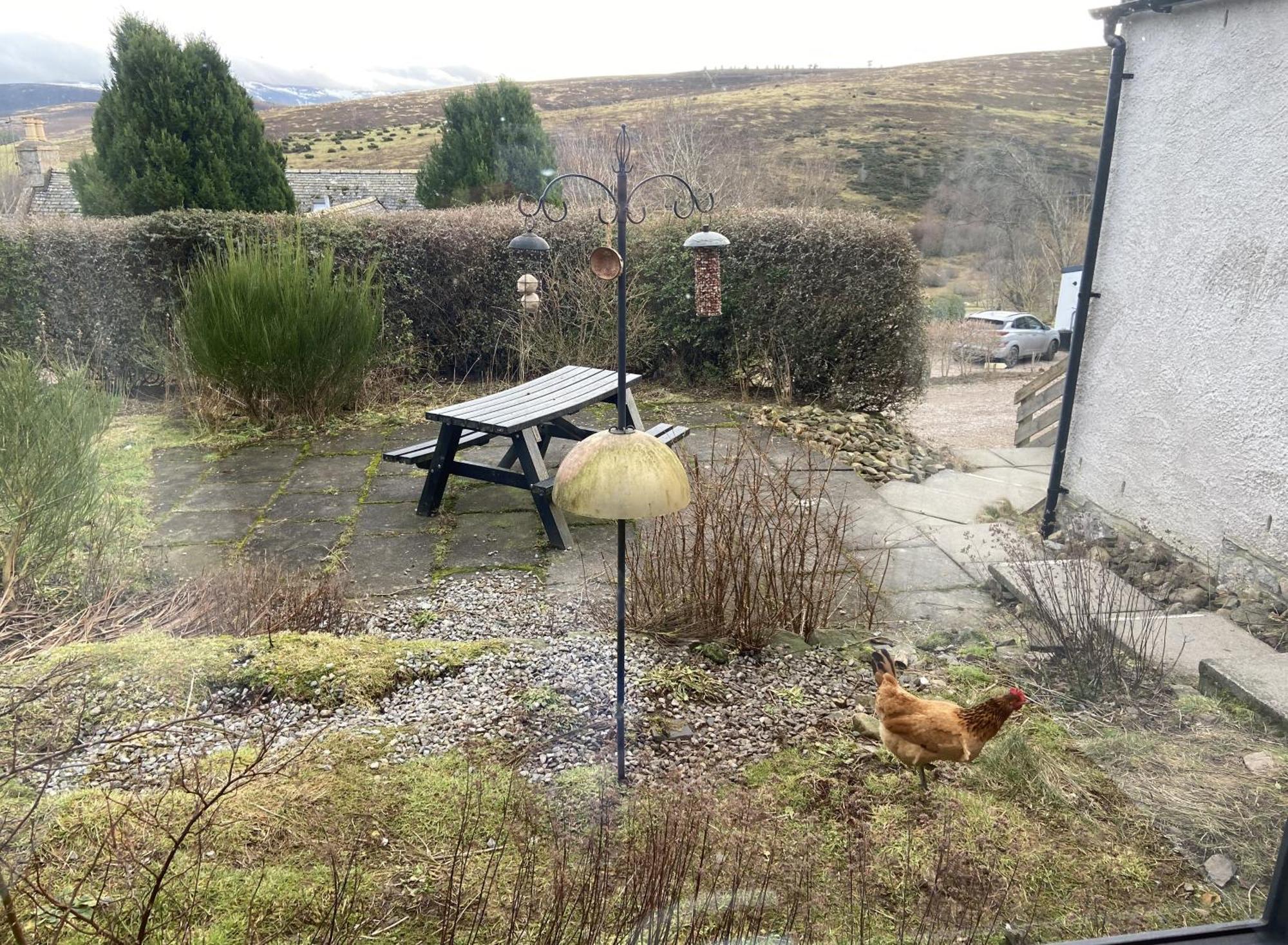 Easter Corrie Cottages Ballindalloch Eksteriør billede